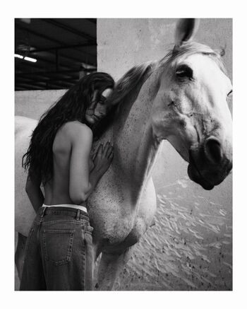 Adi Harel