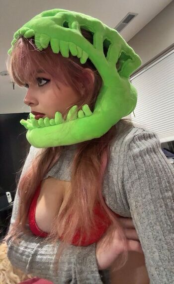 aiiygatorz