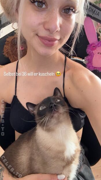 Almostfeline