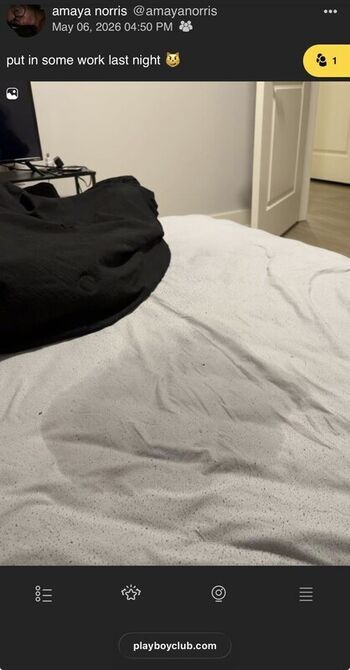 Amayanorris