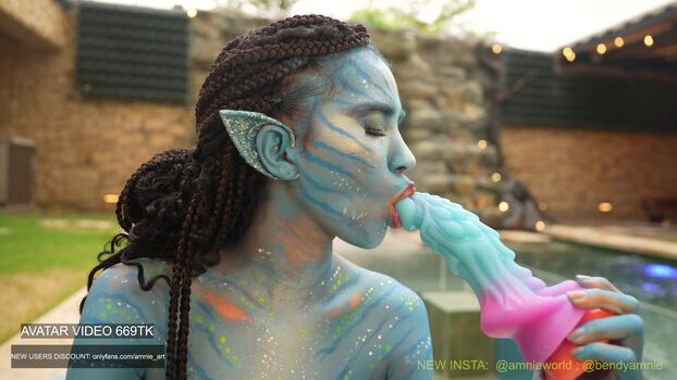 amniemodel