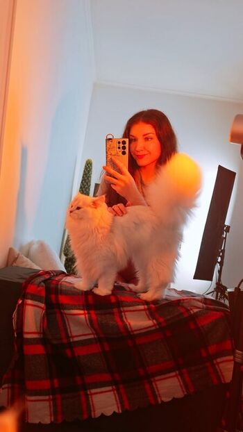 KittyKlaw