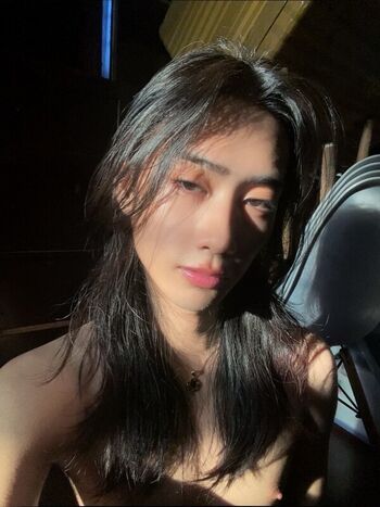 avoidjules