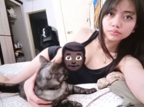 Babychitam