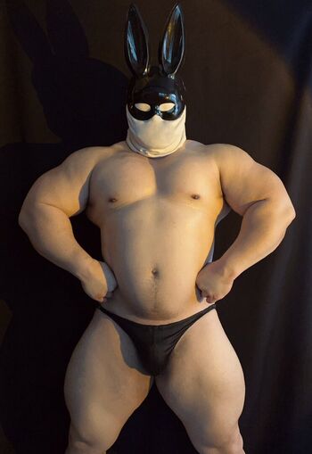Bulkymax