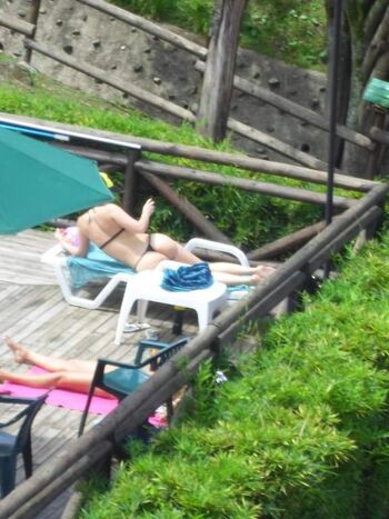 Candid Brasil