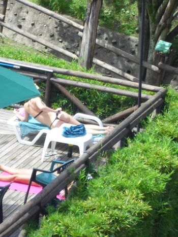 Candid Brasil