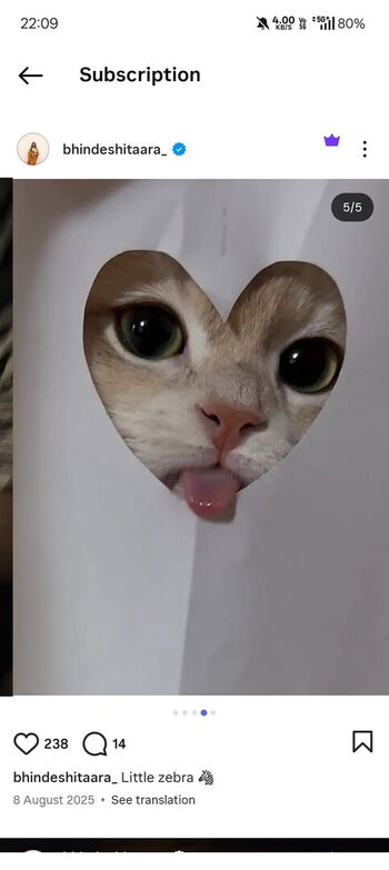 Chirasree