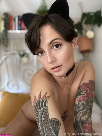 Daisydarent