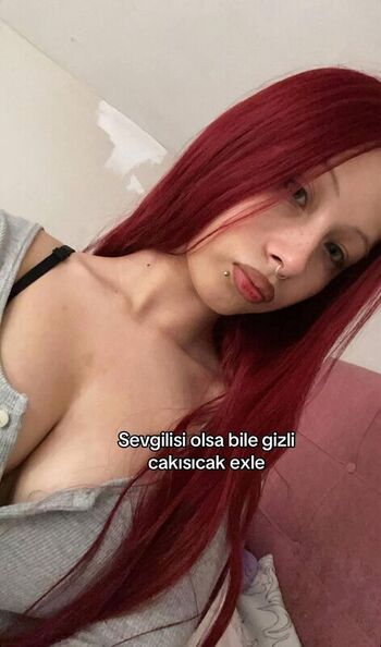 DilanurApaydn