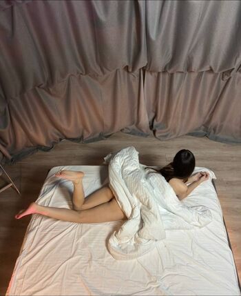 DolleDream