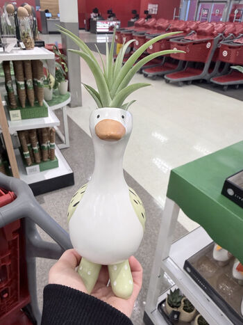 Duckie.Cos