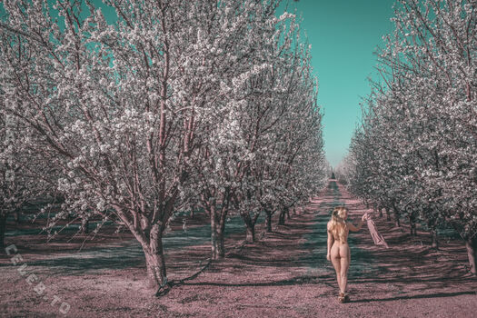 faerie
