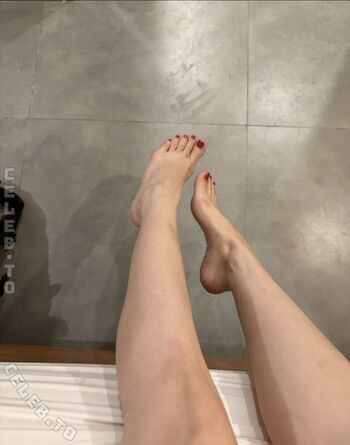 hollyloly