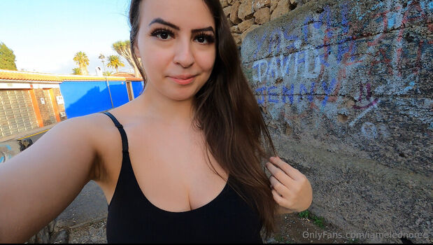 iameleonoree