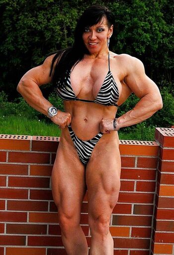 Jana Linke Sippl