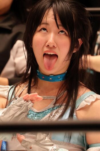 Joshi Puroresu