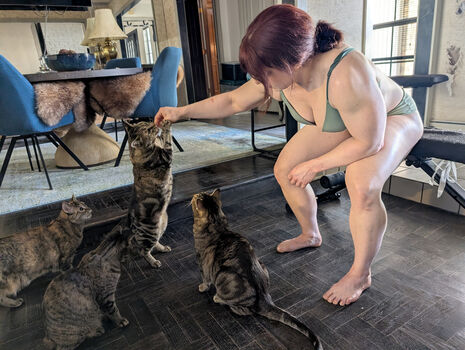 kitty_bit_games