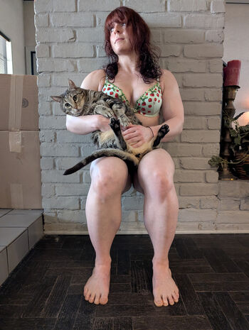 kitty_bit_games