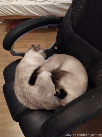 kittykathee