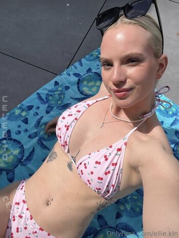 kleinellie