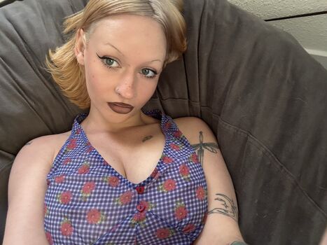 ladybug6798