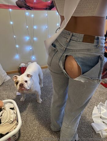 laureninminnesota