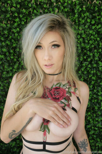 Lindsay Elyse
