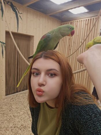 Liz Joestar