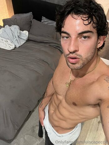 luiscapecchi