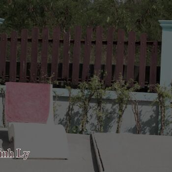 Minh-Ly