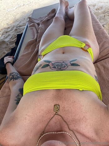 mollimuse