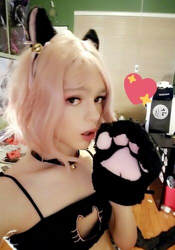 Mr_Kittenzz