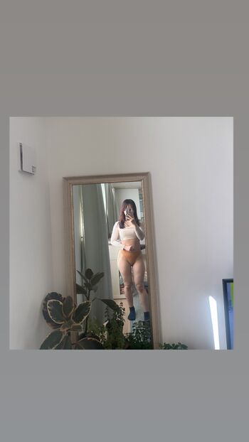 Neko_jarah_shee
