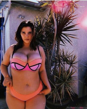 Nikkimichay