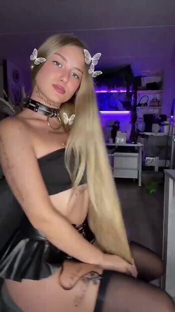 Noelli_fxe