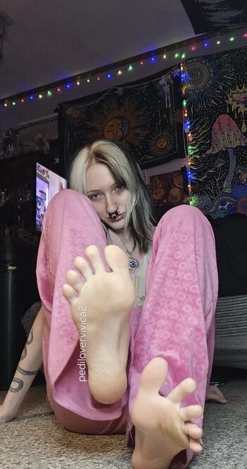 Pedilovervivica2