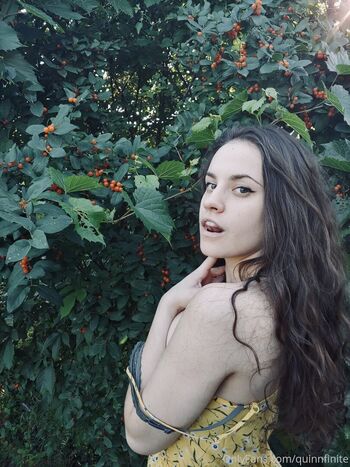 Quinn Finite
