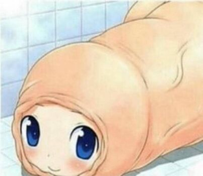 RemiPiggy
