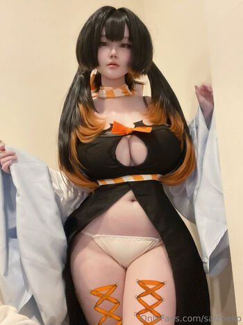 Saizneko