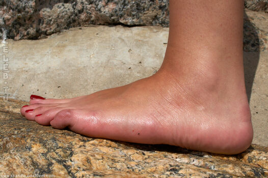 Scandinavian Feet