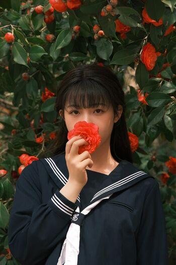 shiliuyelei