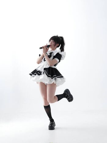 shiliuyelei