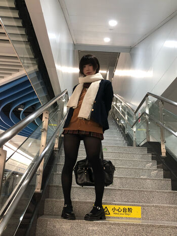 shiliuyelei