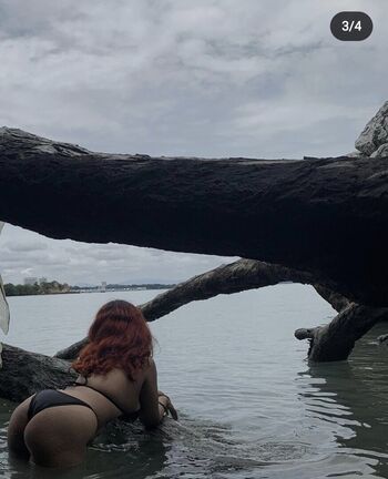 shxliniandrea_