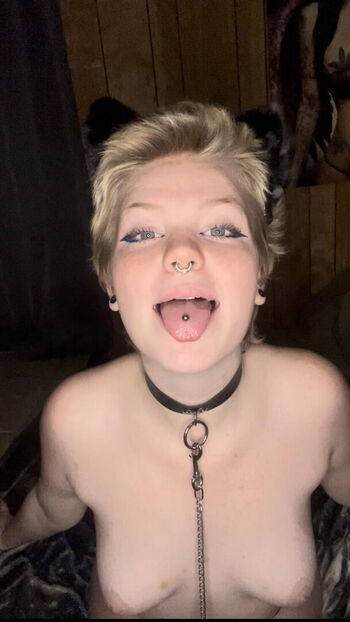 St0nersub044