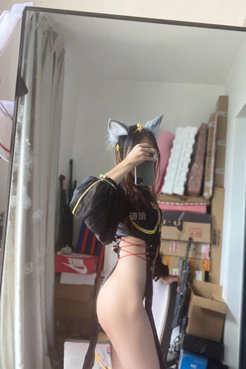 tenryu_0