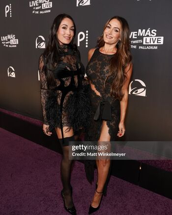 The Bella Twins