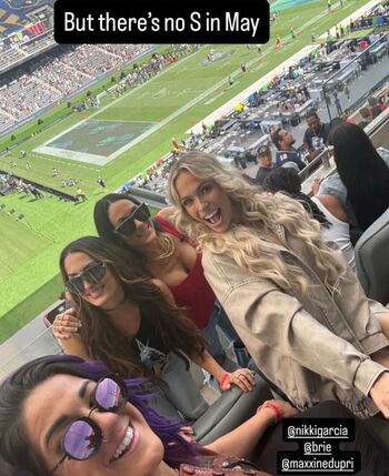The Bella Twins