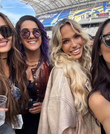 The Bella Twins